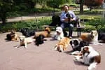 Mobile-Hundeschule-Freiburg