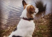Nala-aus-Duisburg Nala-aus-Duisburg